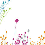 アカナシングルフリーランダック