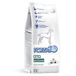 FORZA10（フォルツァ10）オトアクティブ耳ケア療法食（中粒）